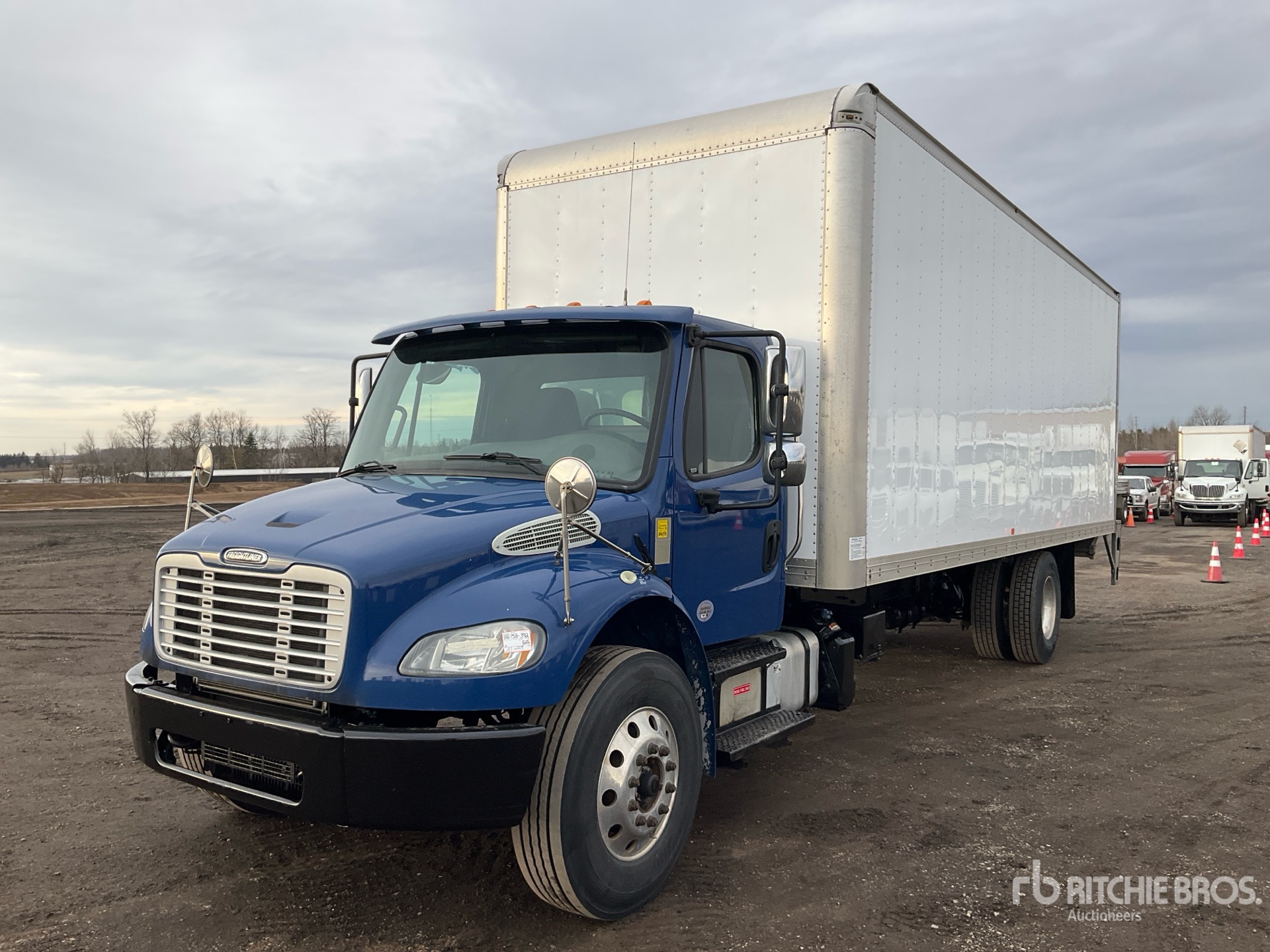 General Appearance with Spin