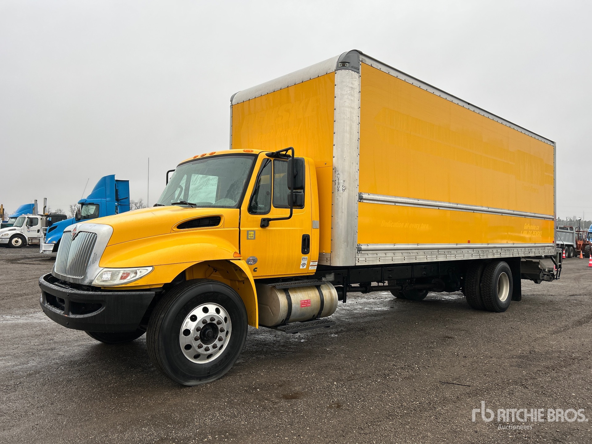 General Appearance with Spin