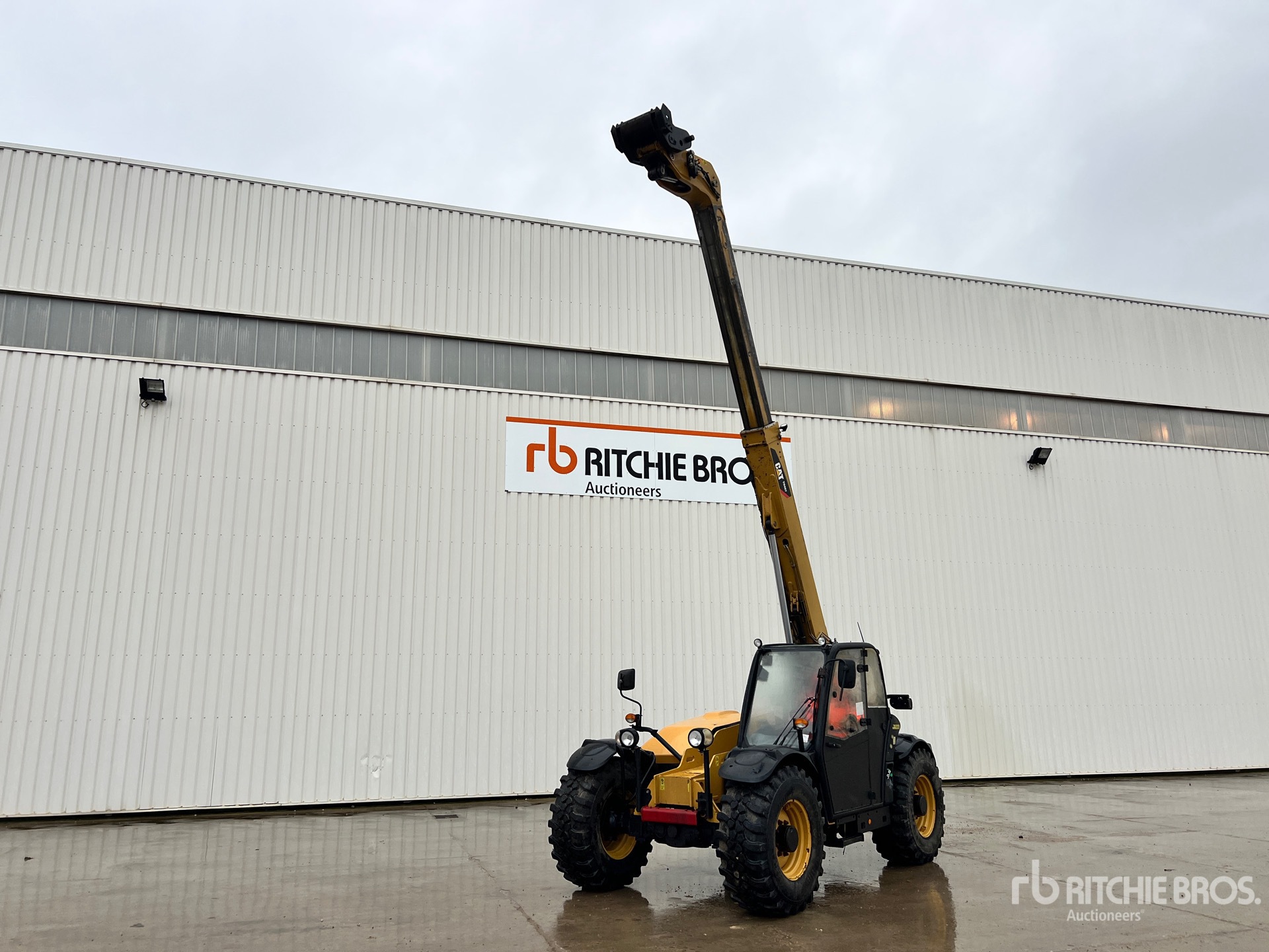 General Appearance with 