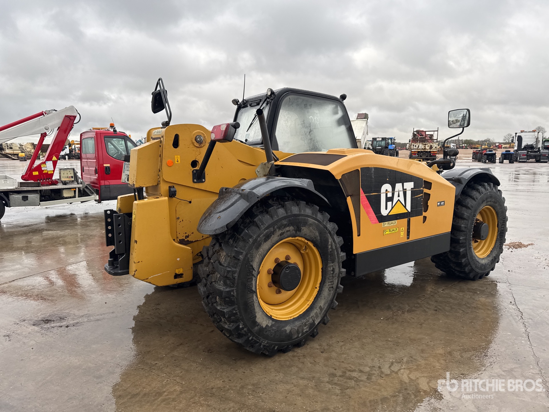 General Appearance with 