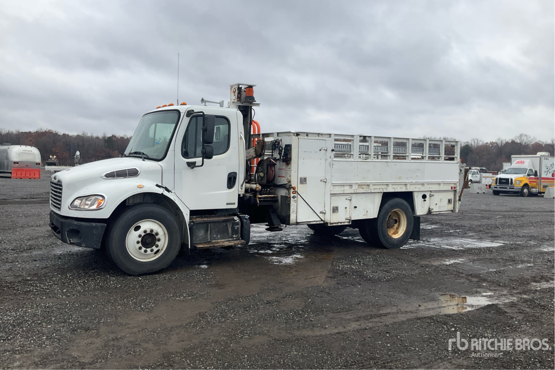 General Appearance with Spin