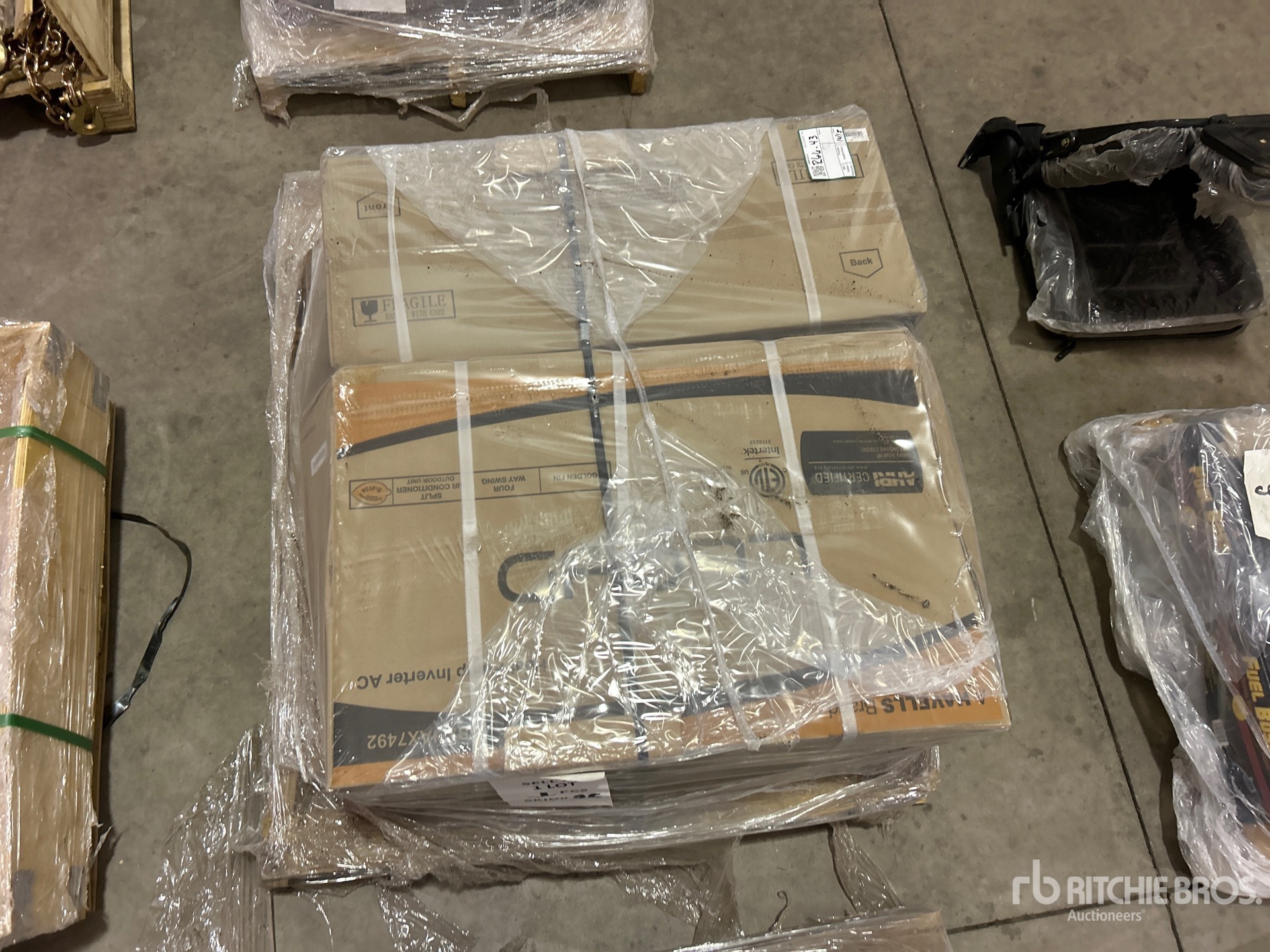 General Appearance with