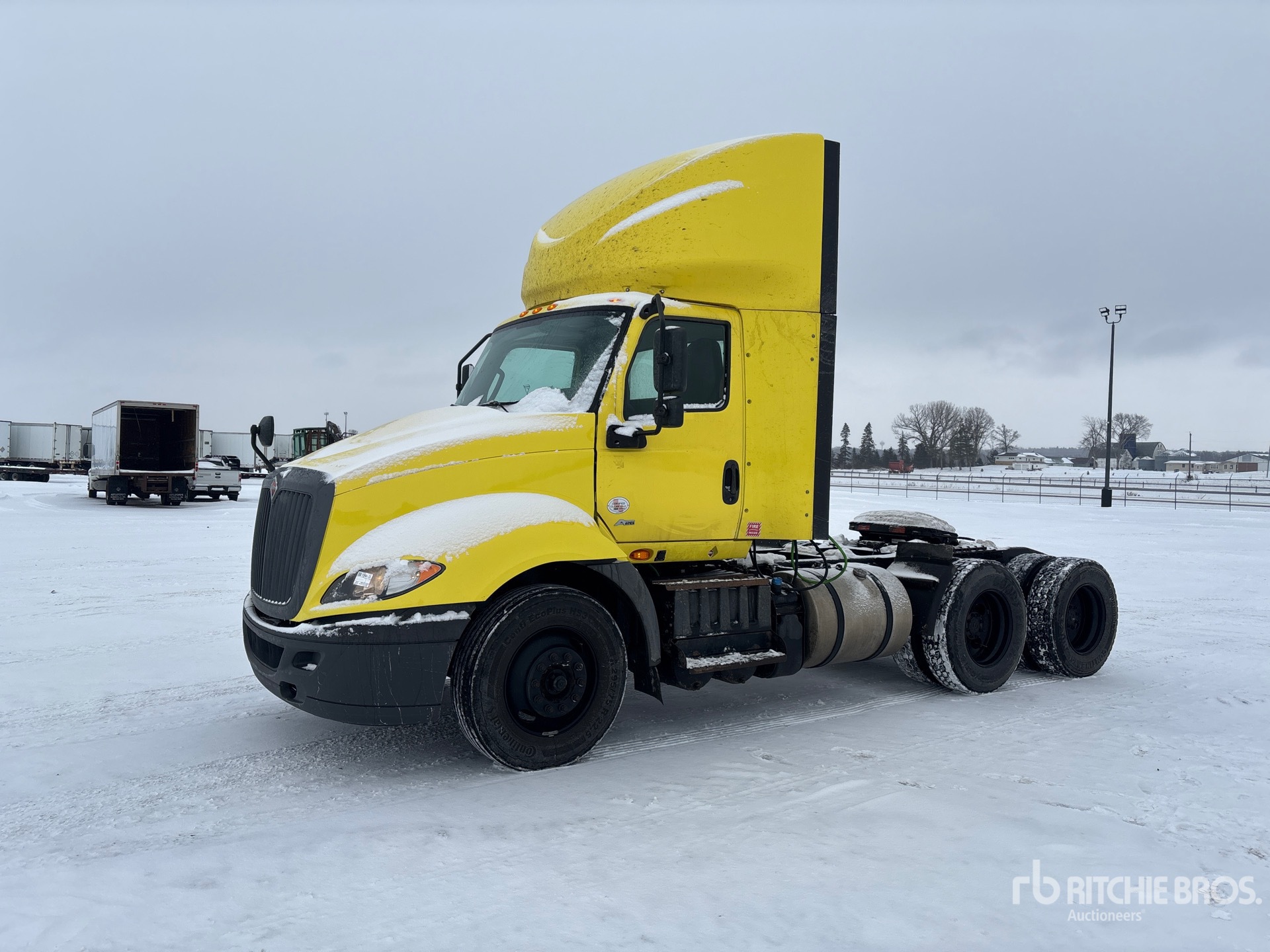 General Appearance with Spin