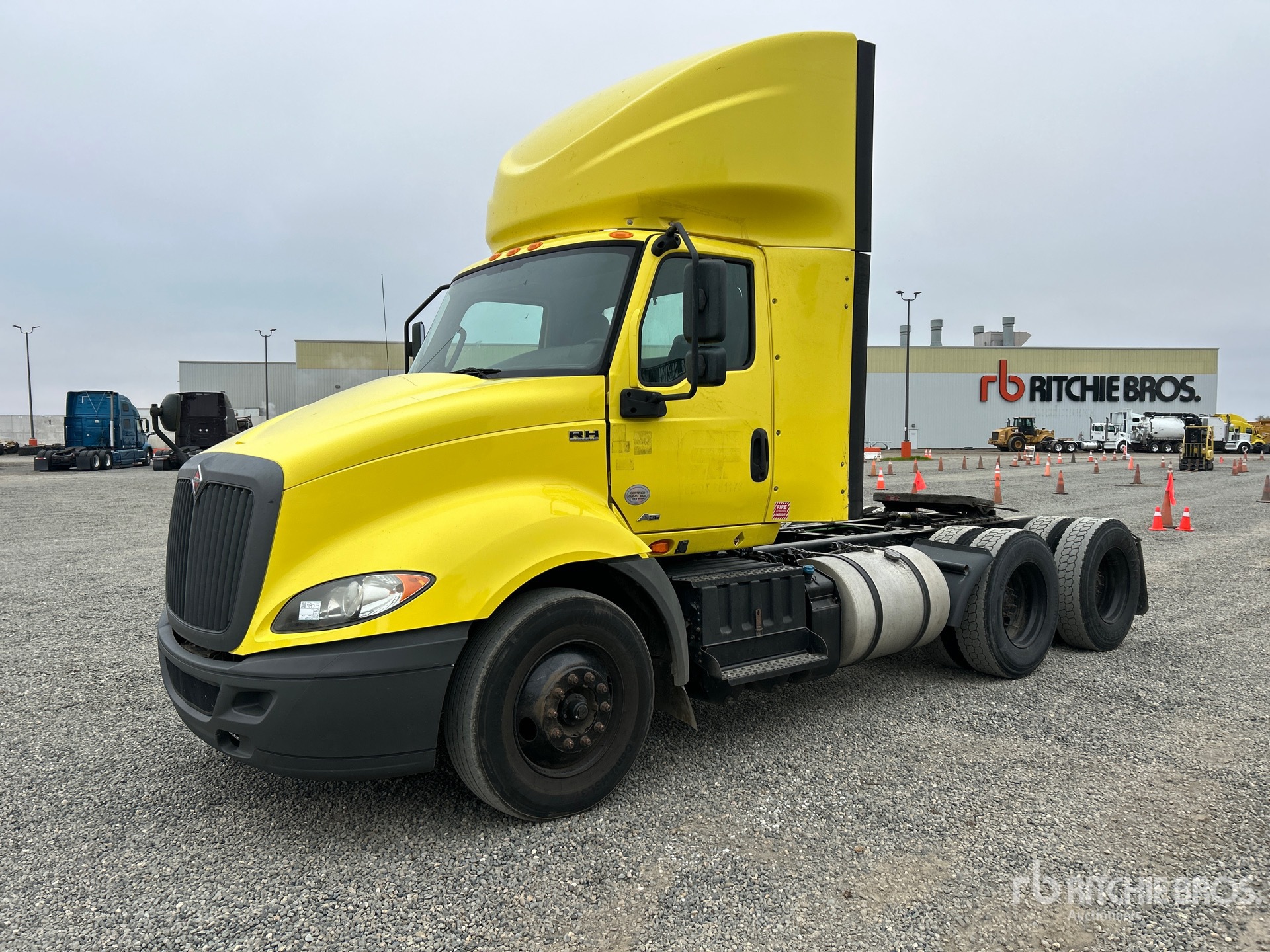 General Appearance with Spin