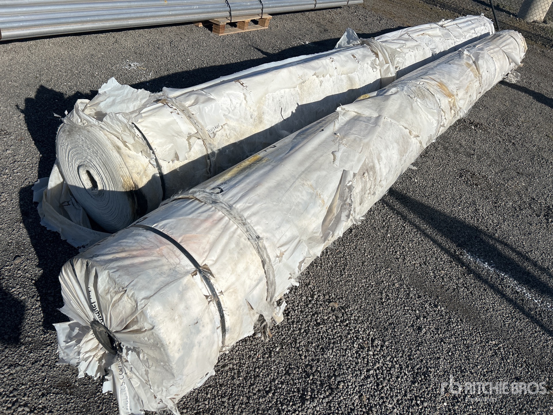 General Appearance with Bild, Ecke vorne rechts