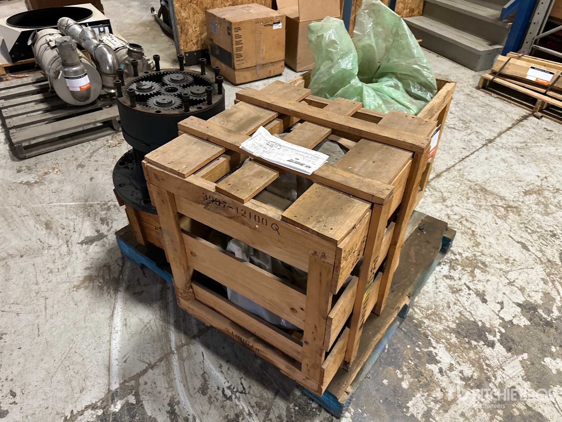 General Appearance with 