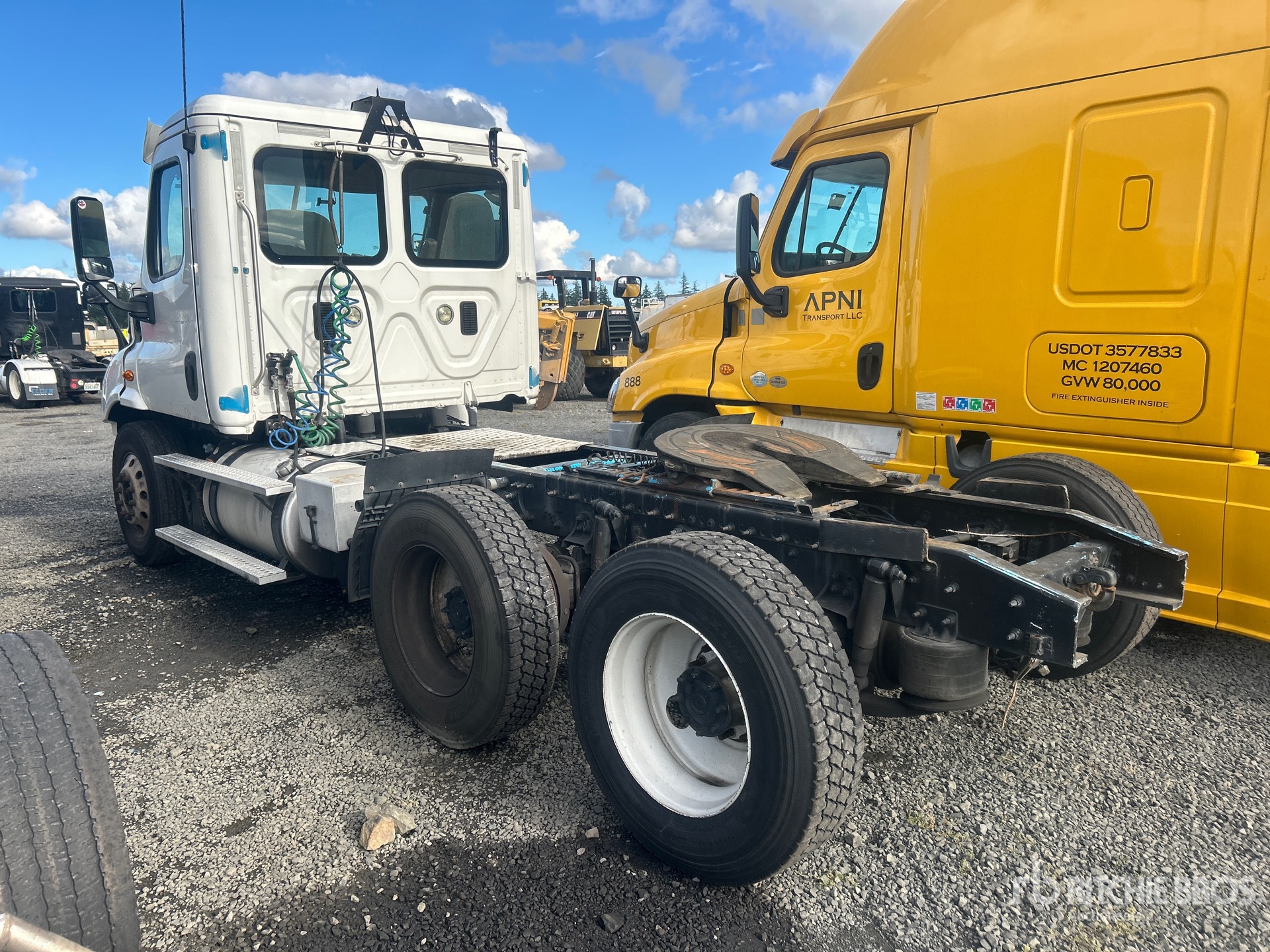 General Appearance with Zdjęcie, lewy dolny róg