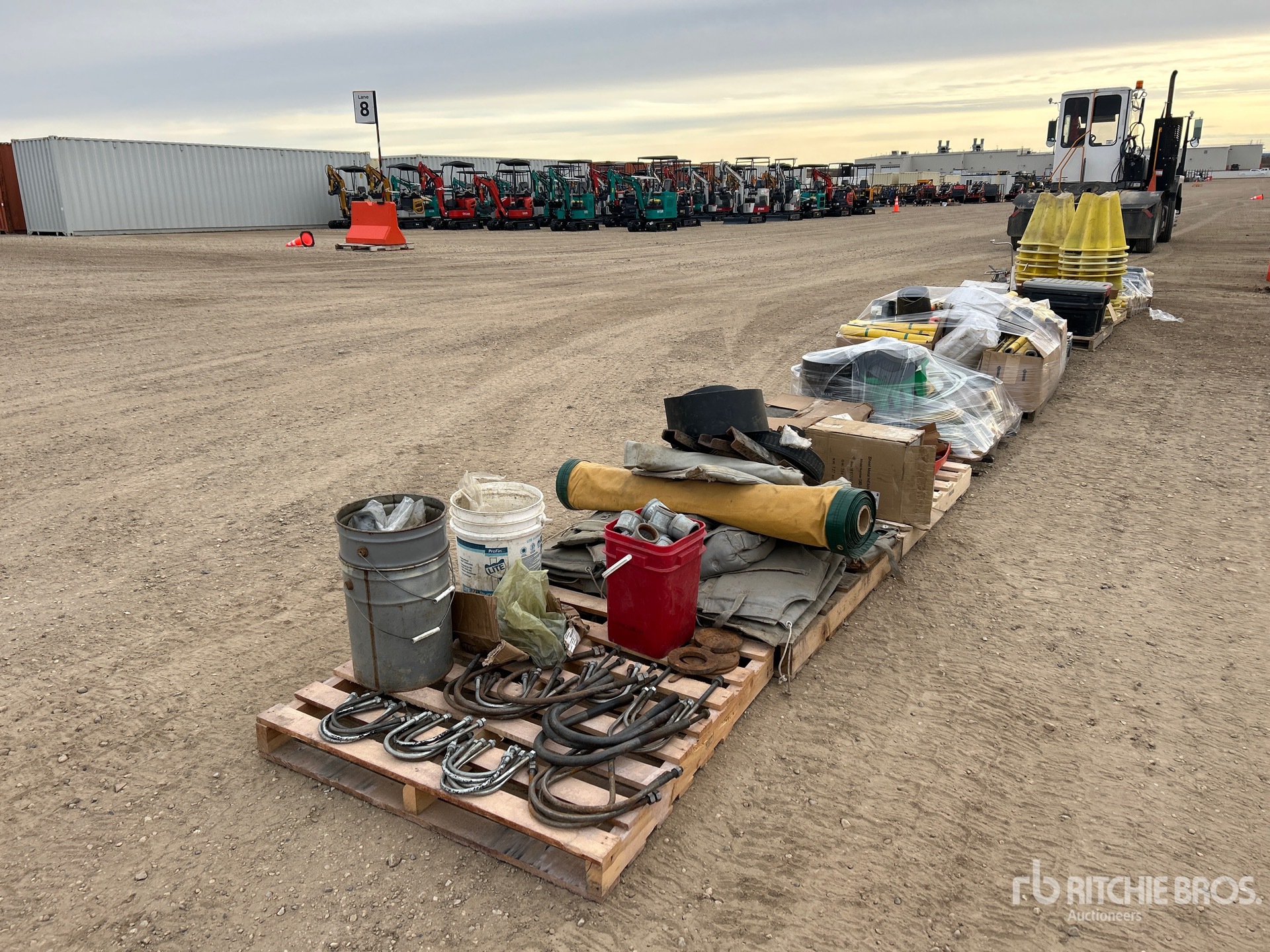 General Appearance with 