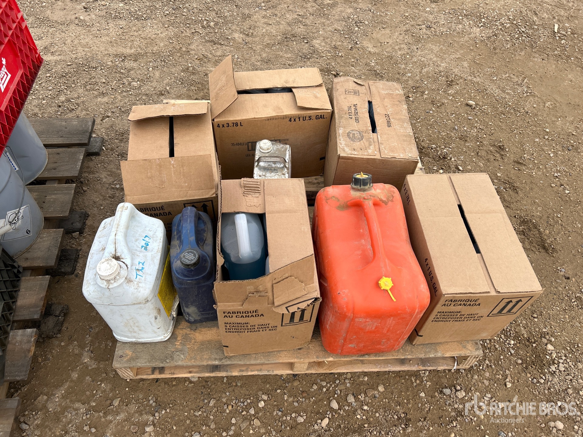 General Appearance with 