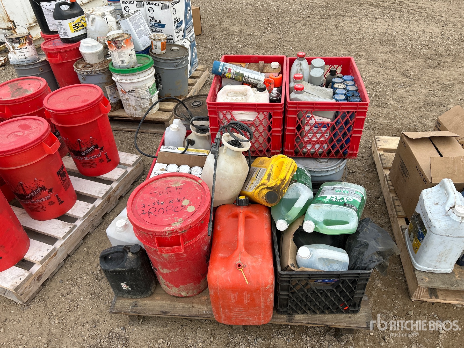 General Appearance with 