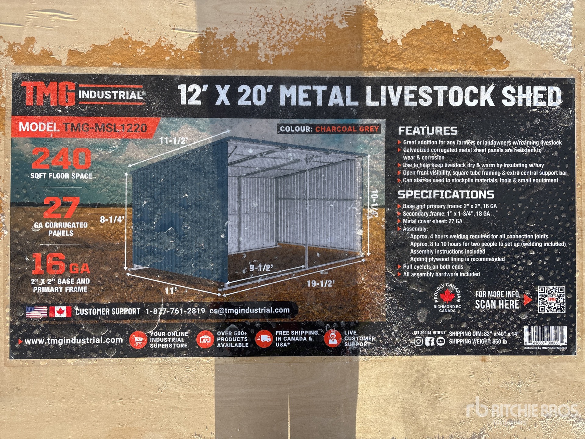 General Appearance with 