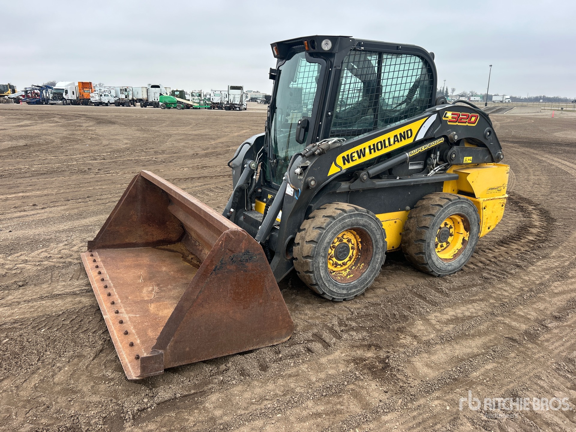 General Appearance with Spin