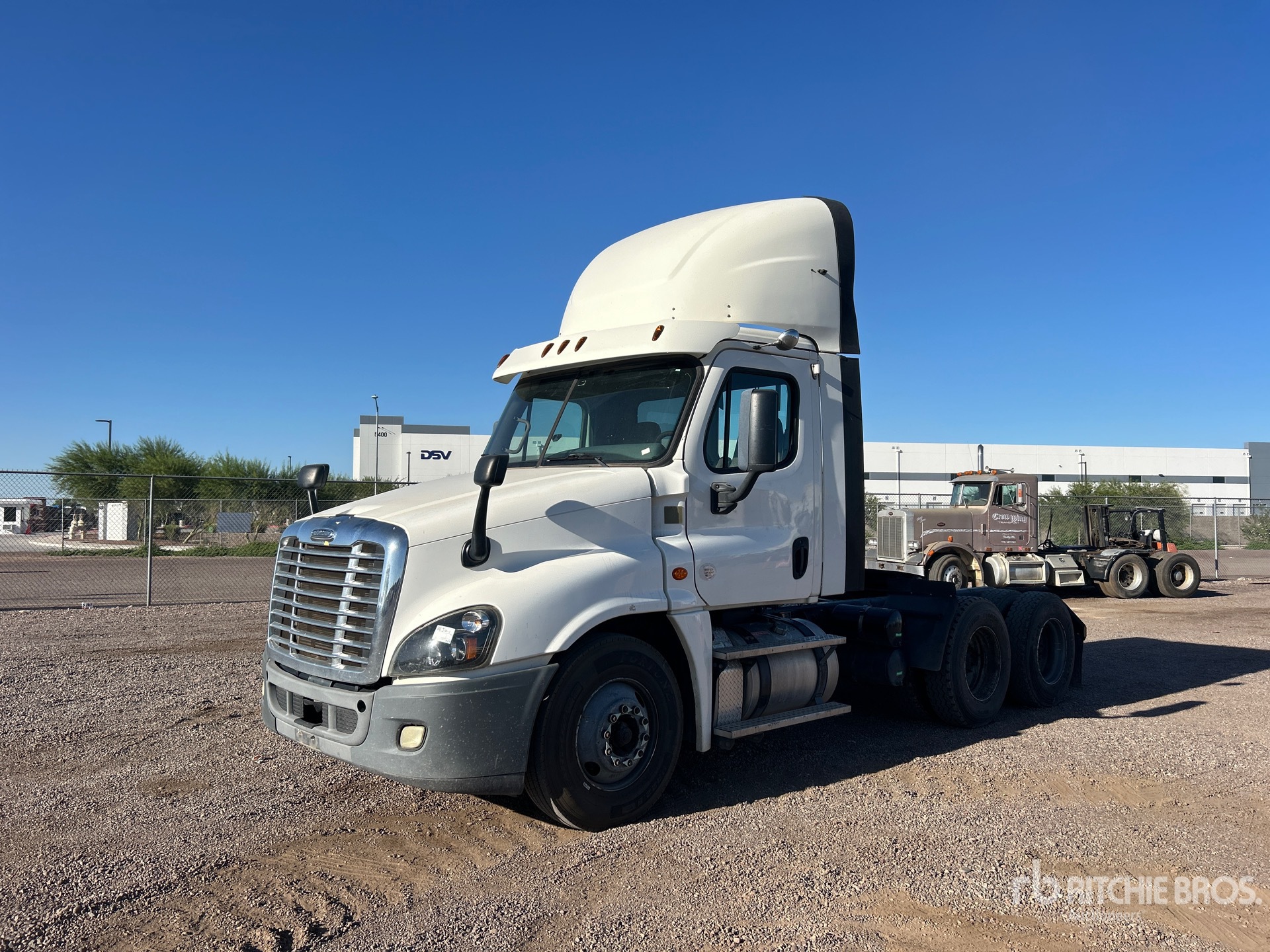 General Appearance with Spin