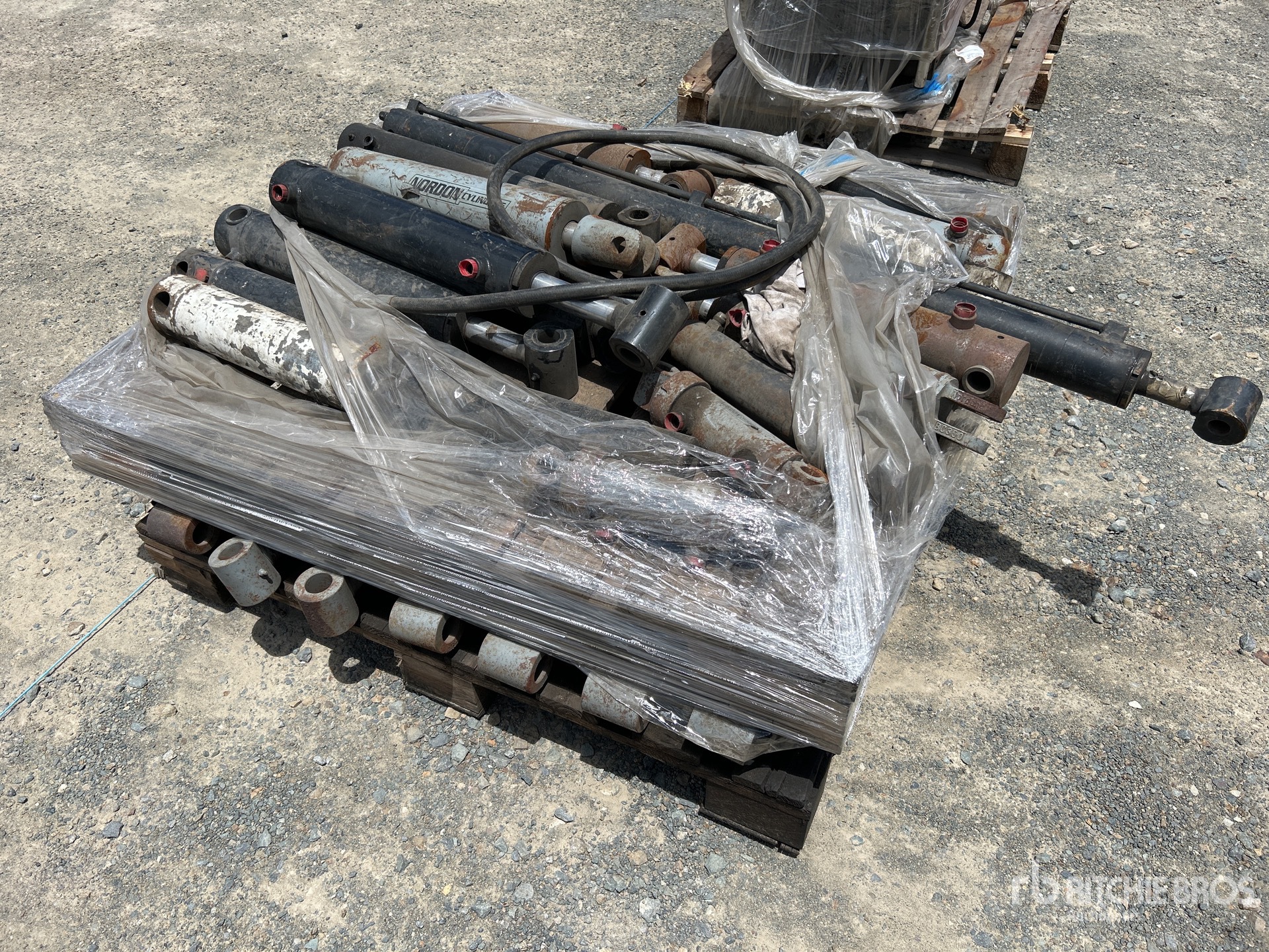 General Appearance with Bild, Ecke vorne links