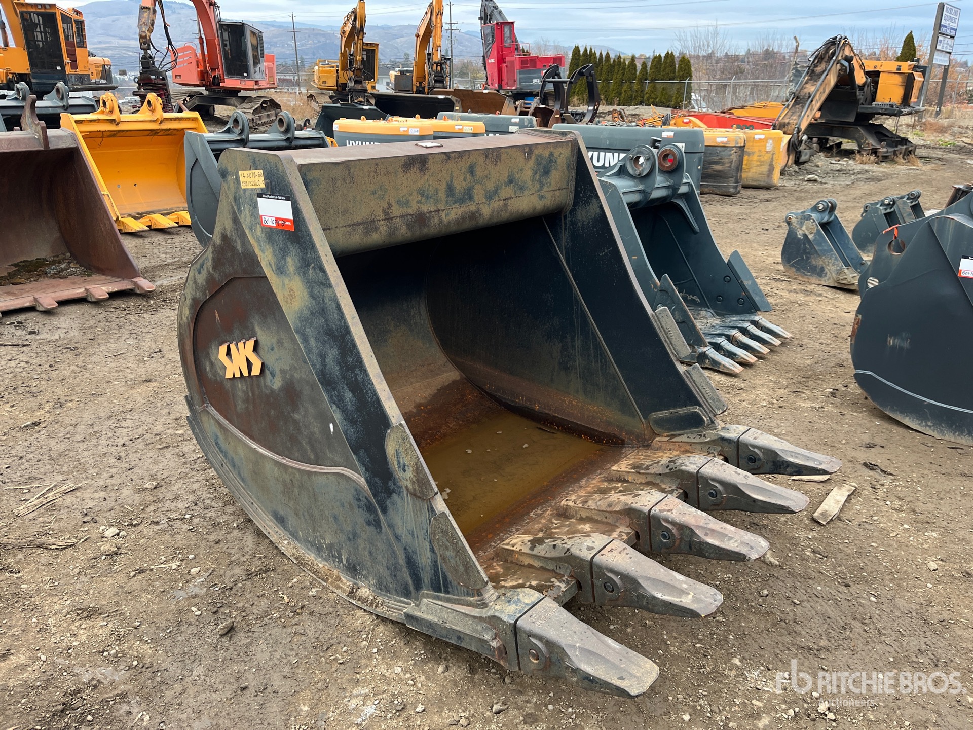 General Appearance with Image, coin avant droit