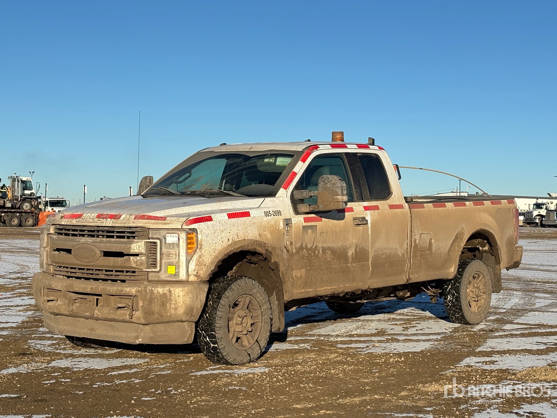 General Appearance with Spin