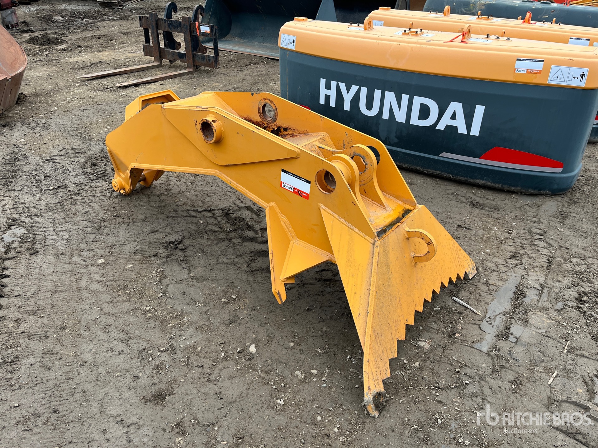 General Appearance with Foto, angolo anteriore sinistro