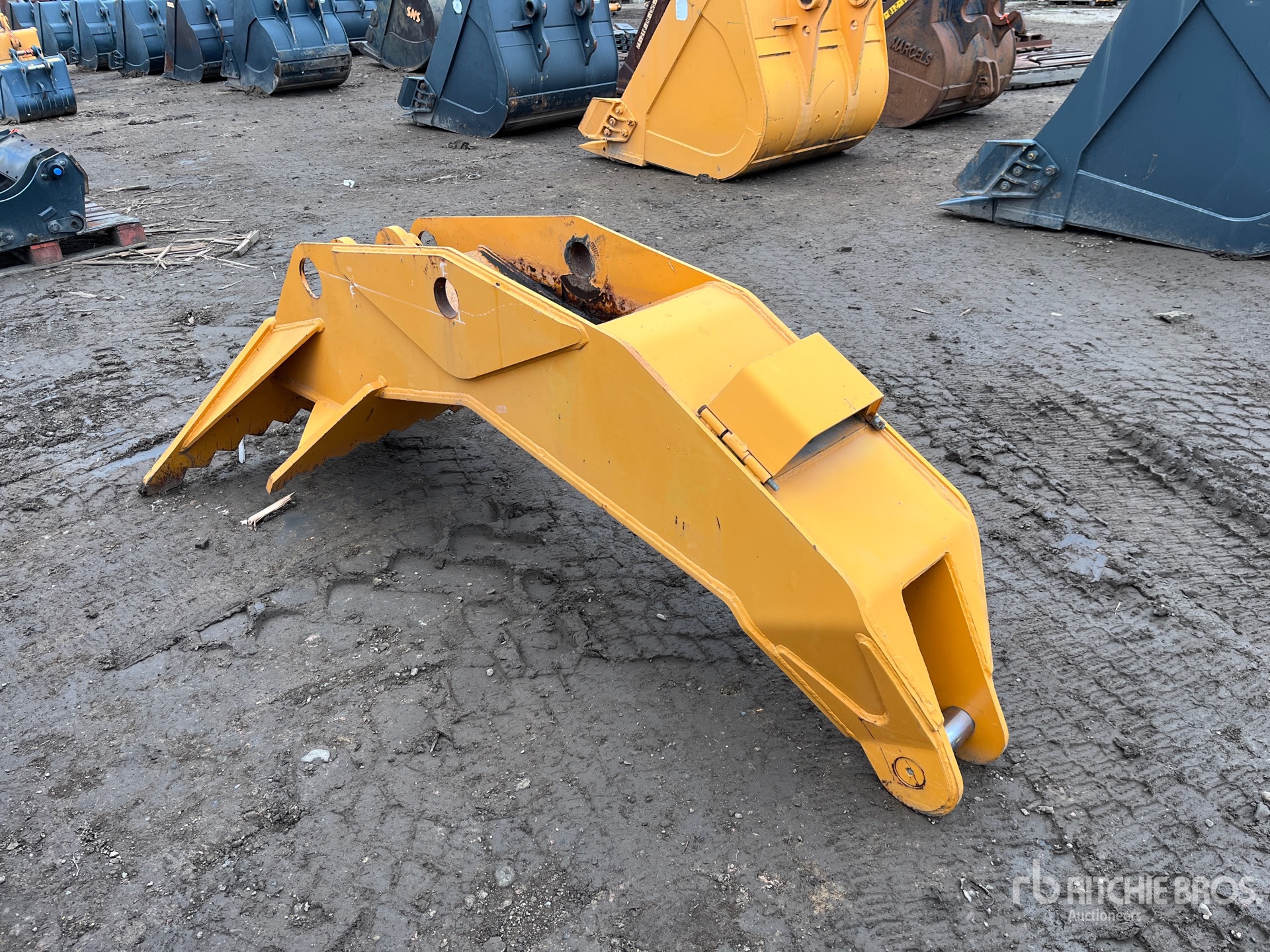 General Appearance with Foto, angolo anteriore sinistro