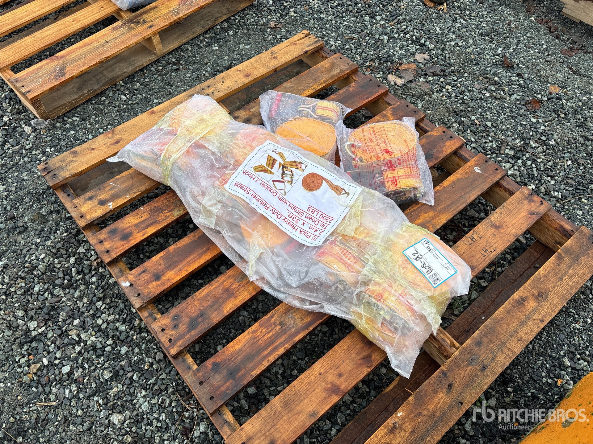 General Appearance with Image, coin arrière droit