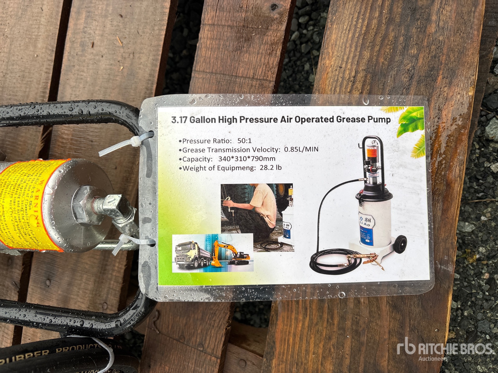 General Appearance with 