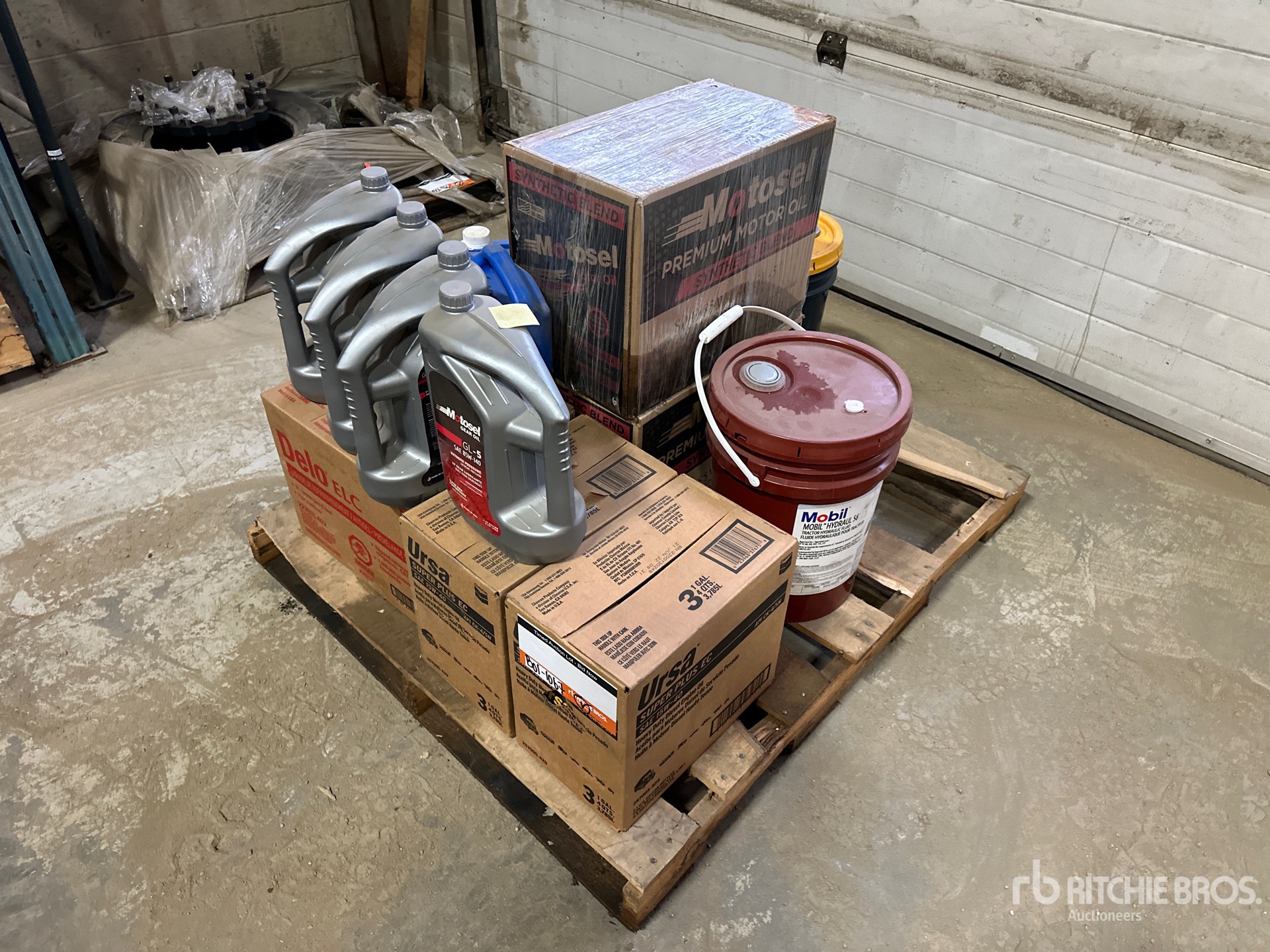 General Appearance with Foto, angolo anteriore sinistro