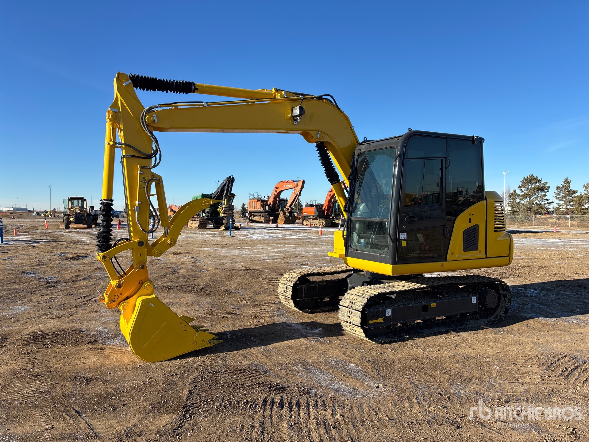 General Appearance with Spin