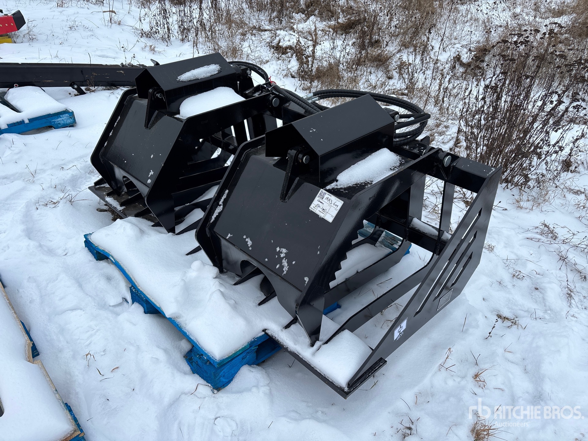 General Appearance with Zdjęcie, lewy górny róg