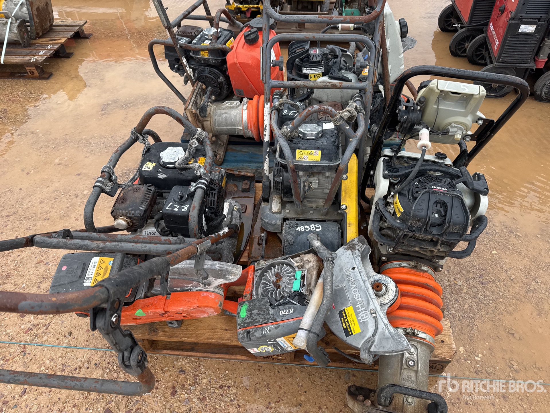 General Appearance with 