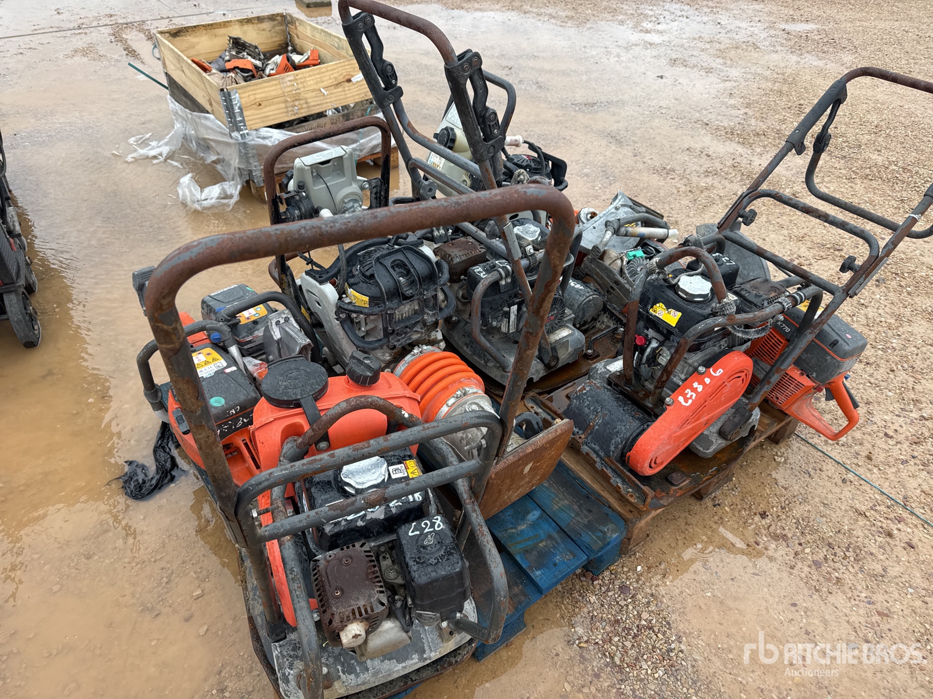 General Appearance with 