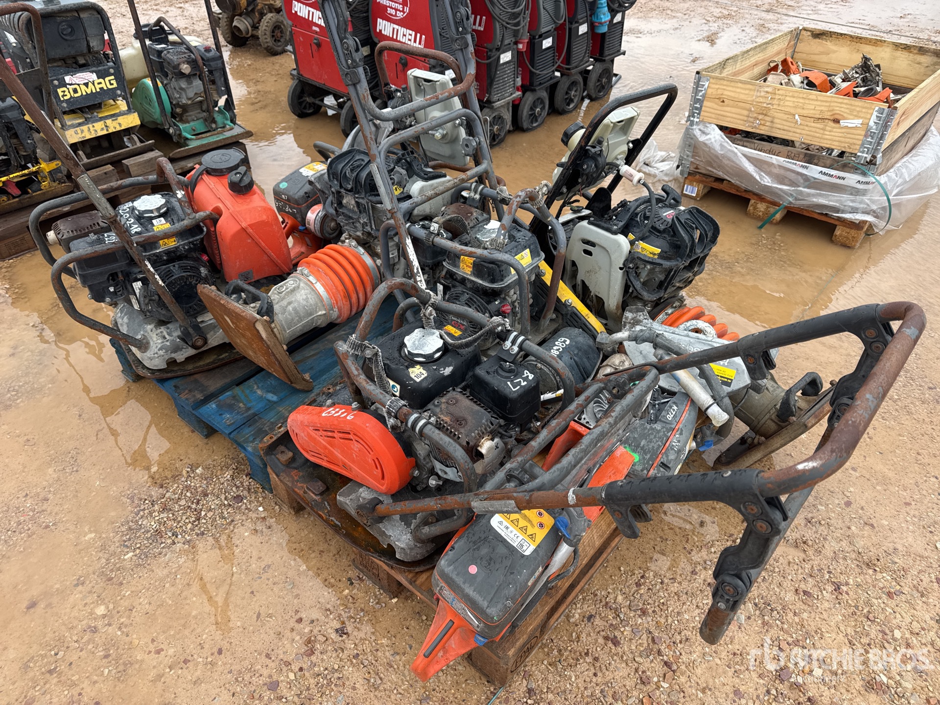 General Appearance with 