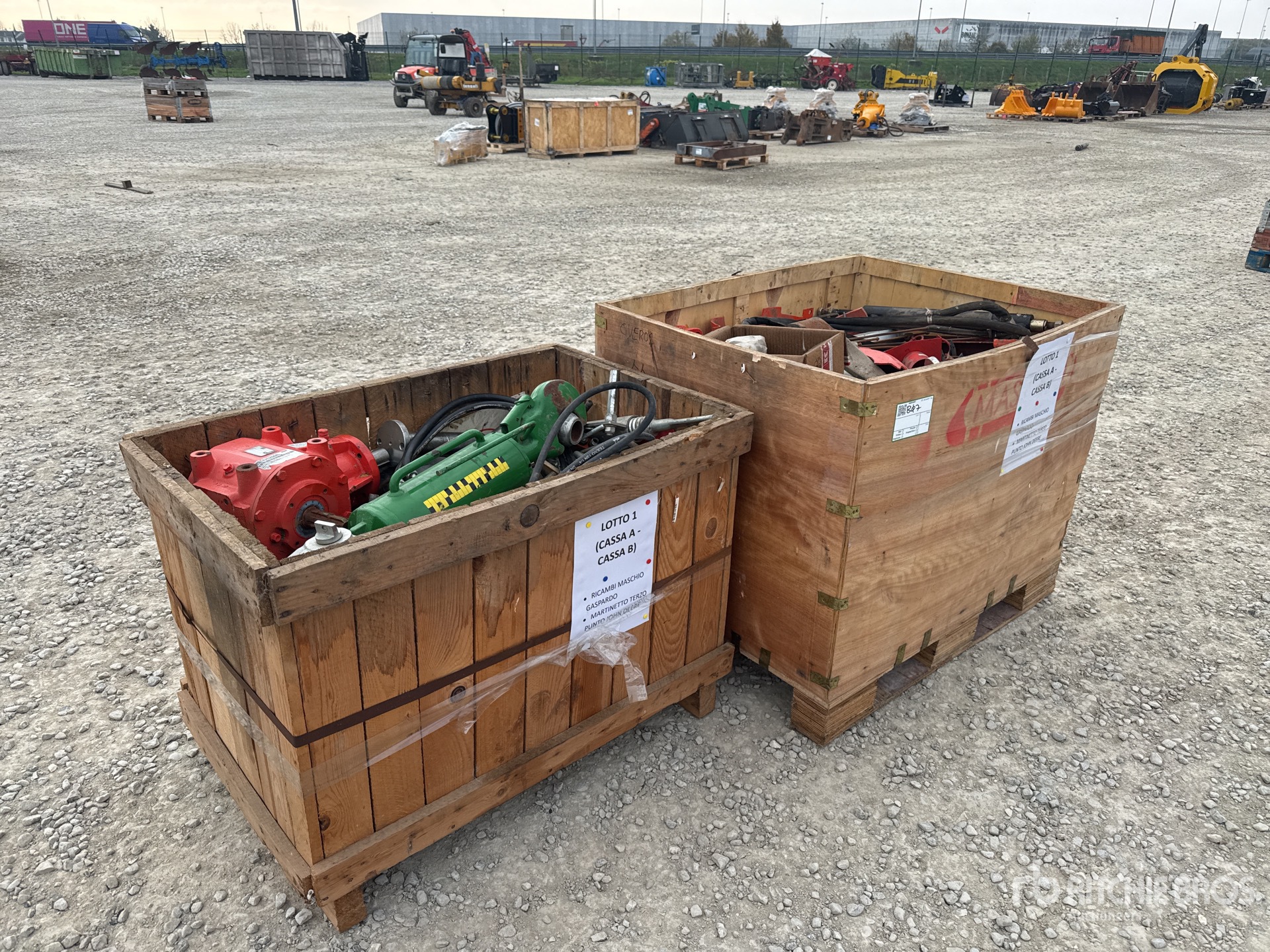 General Appearance with 