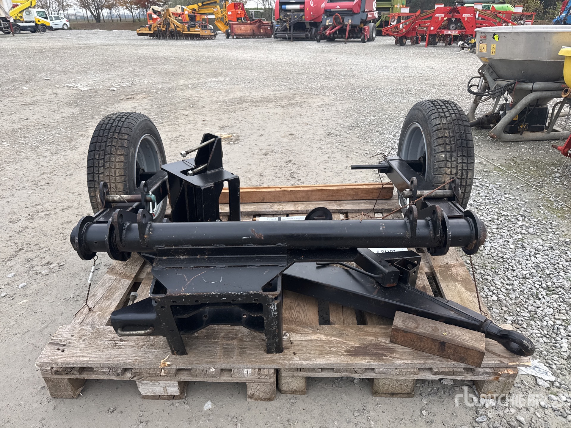 General Appearance with 