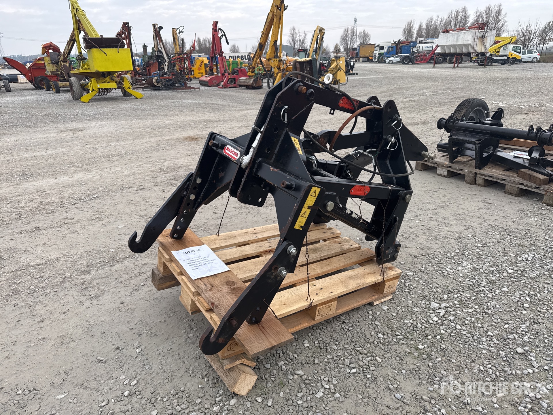 General Appearance with 