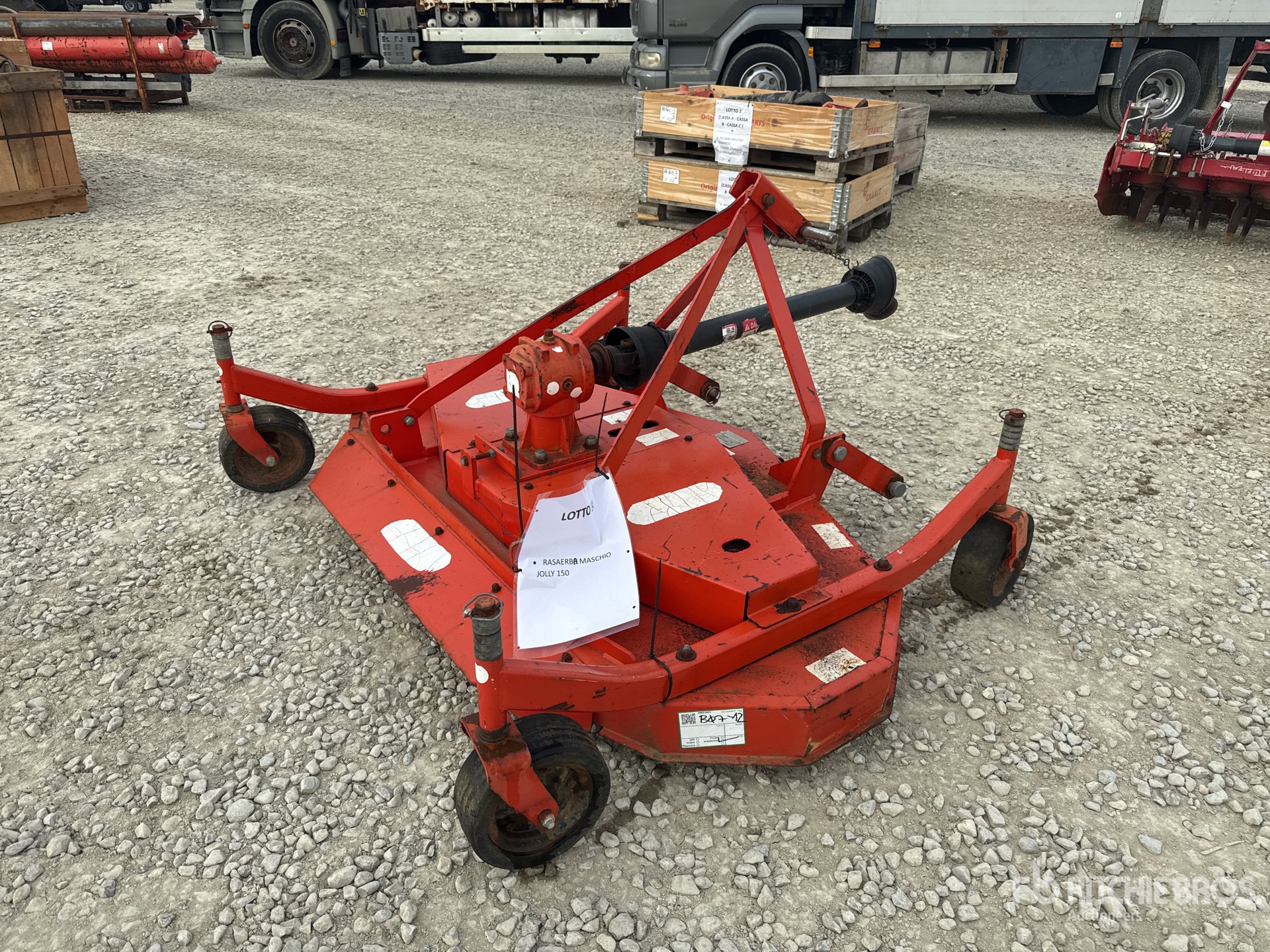 General Appearance with 