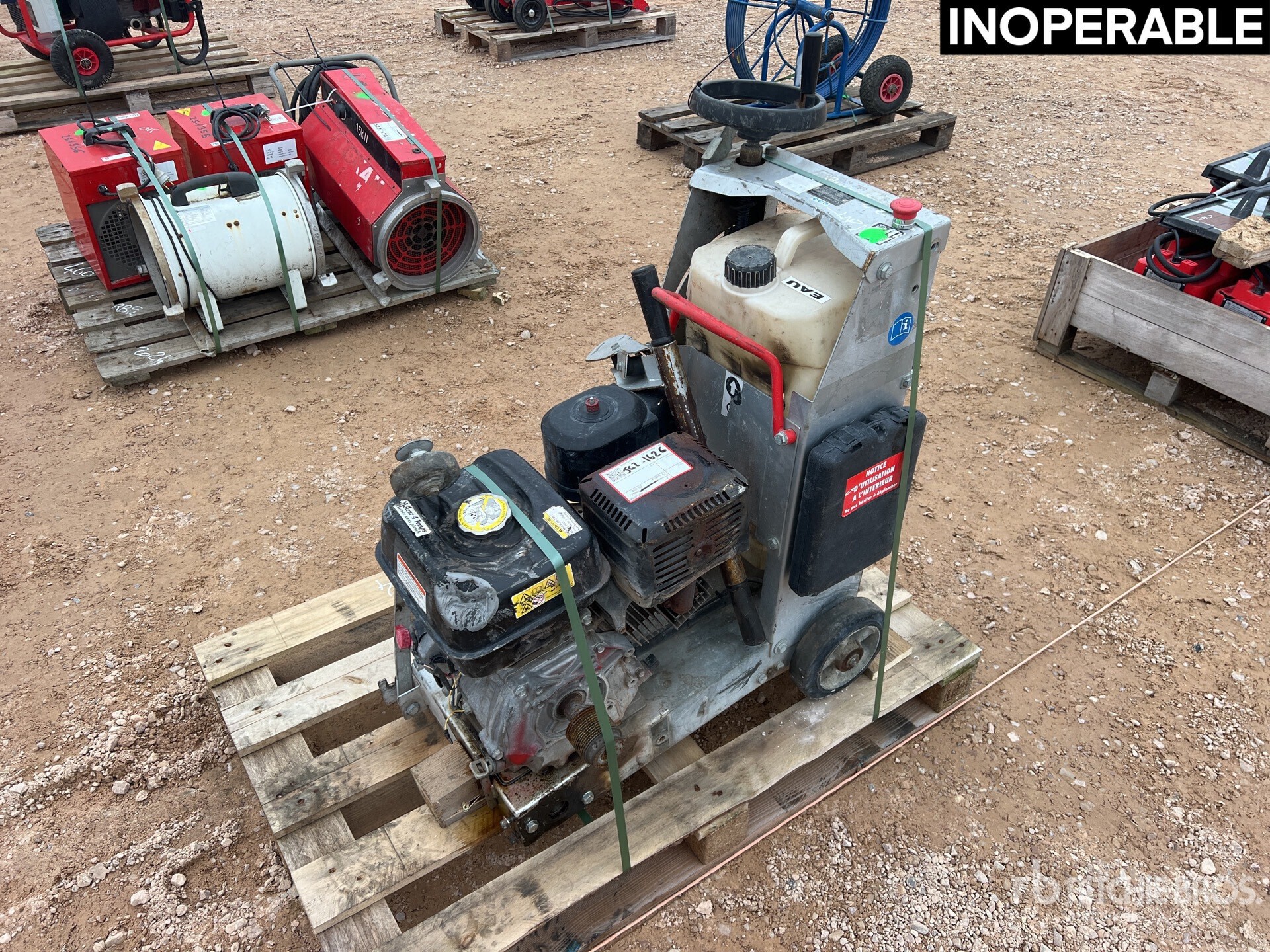 General Appearance with 