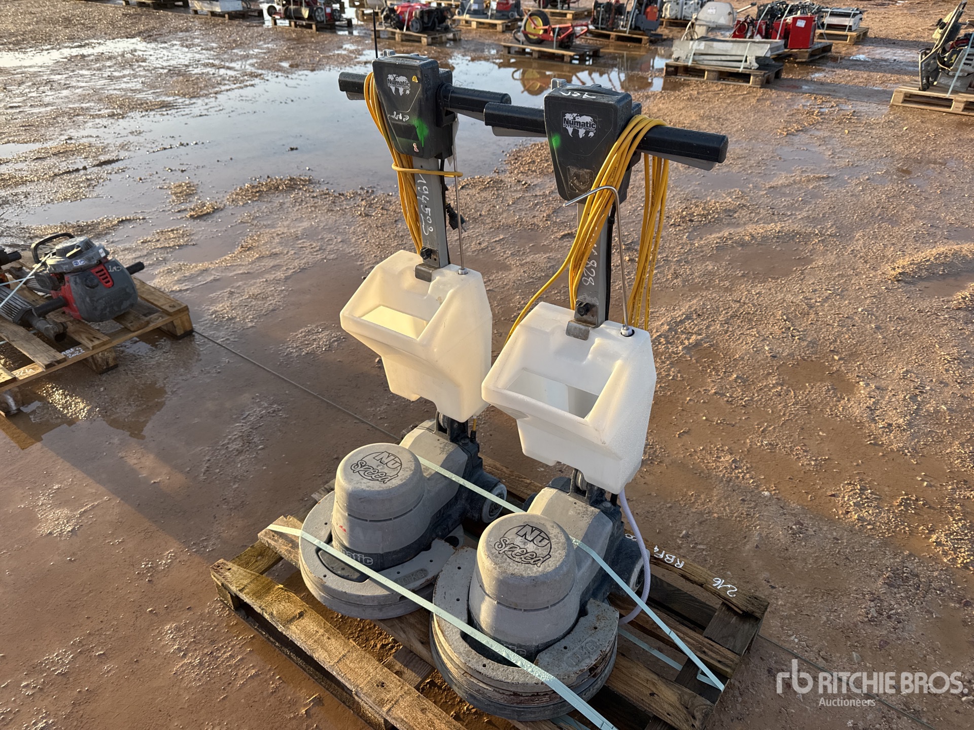 General Appearance with 