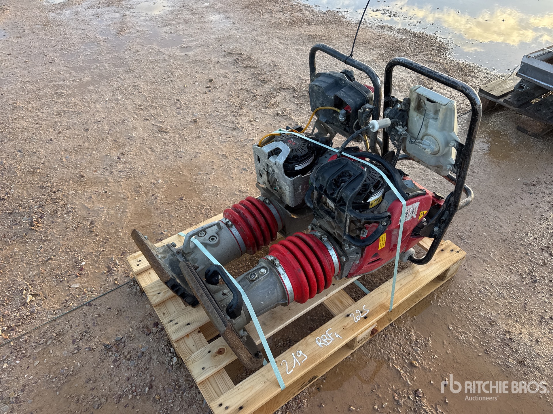 General Appearance with 