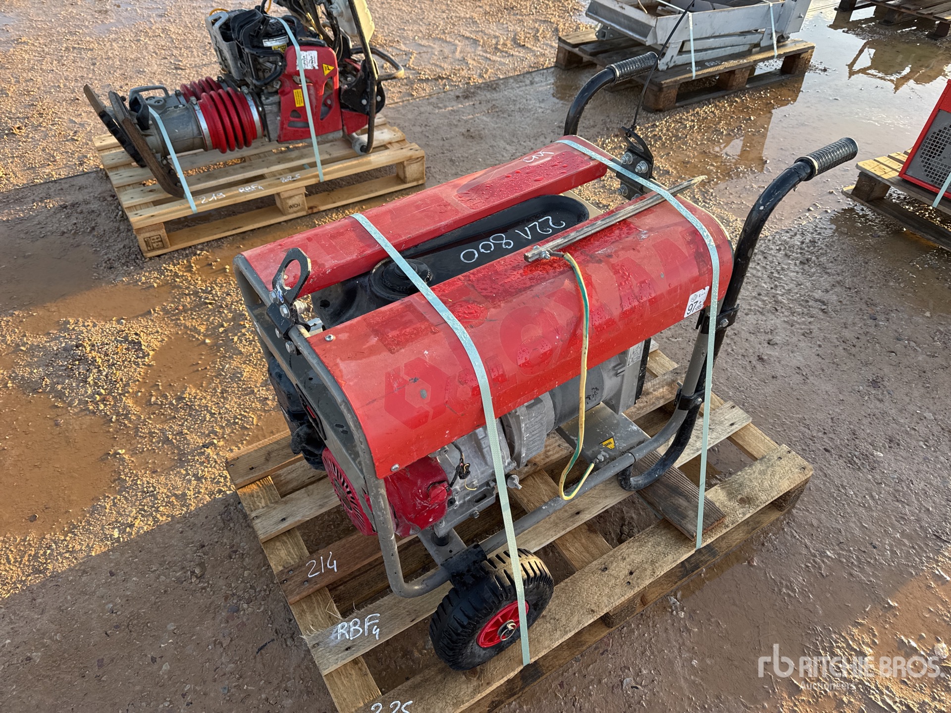 General Appearance with 