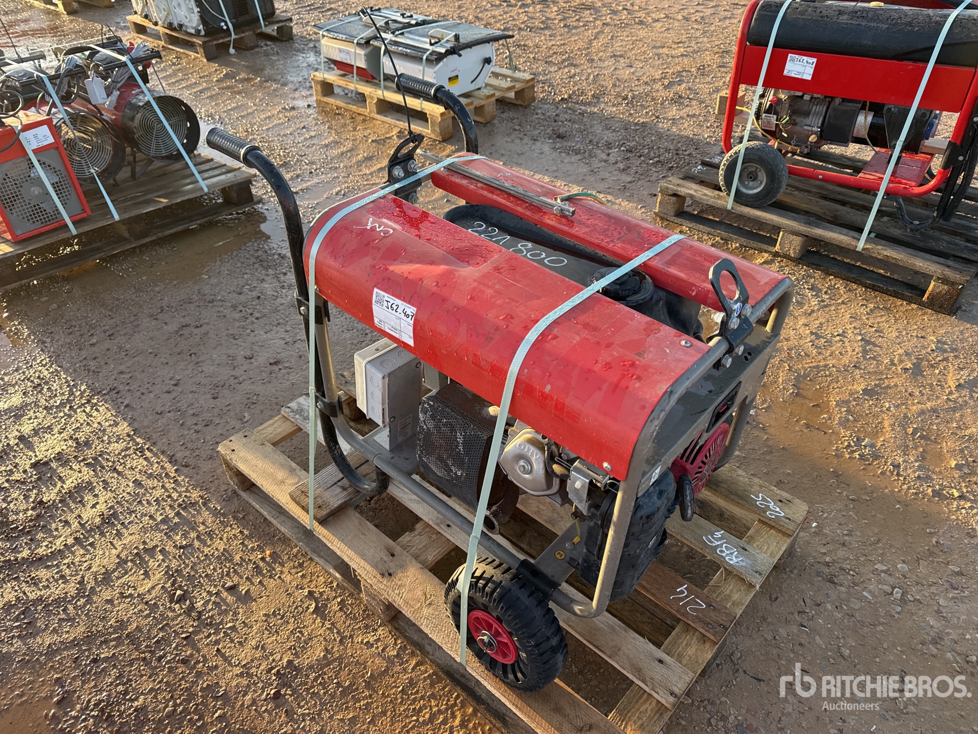 General Appearance with 