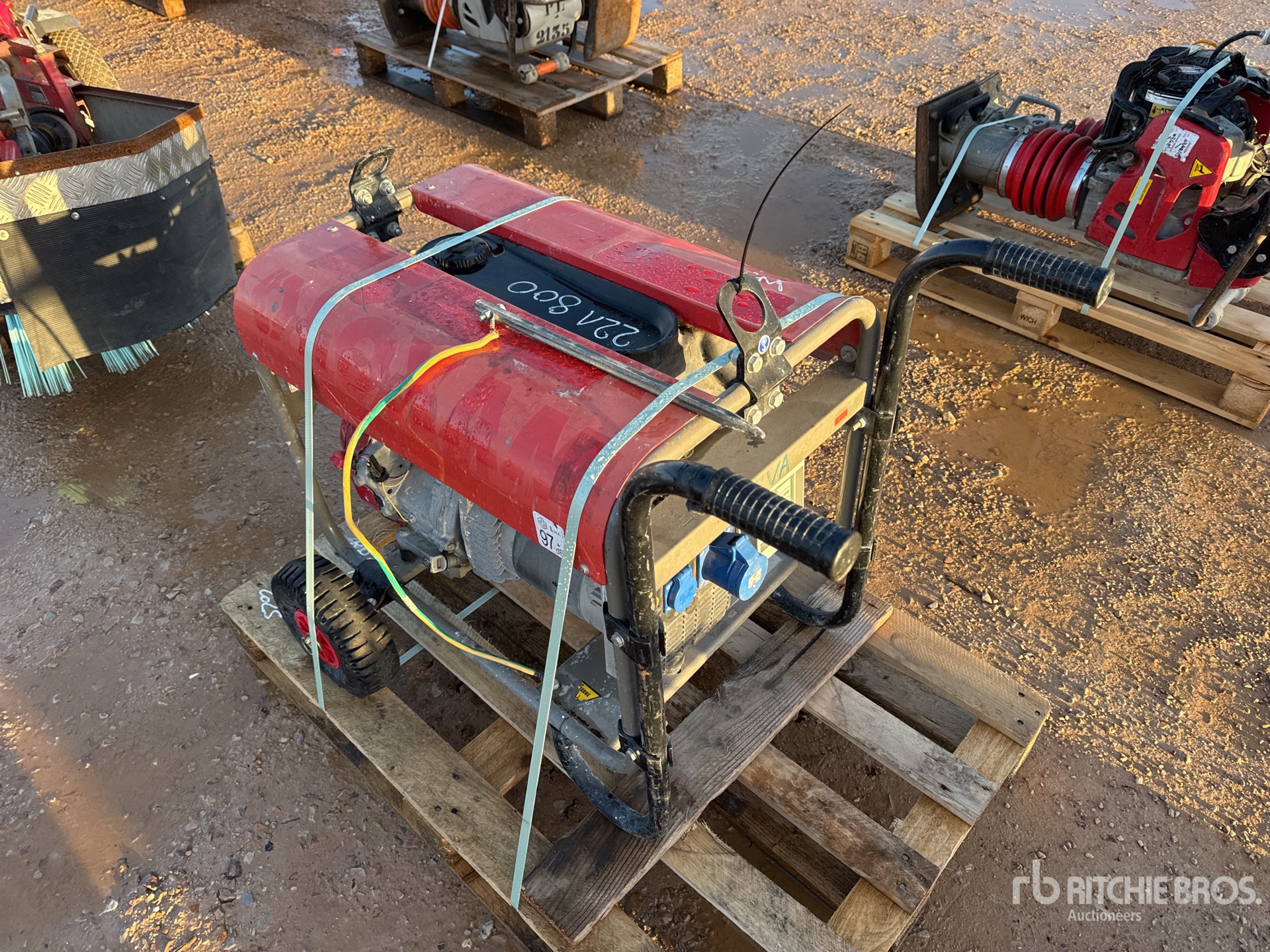 General Appearance with 