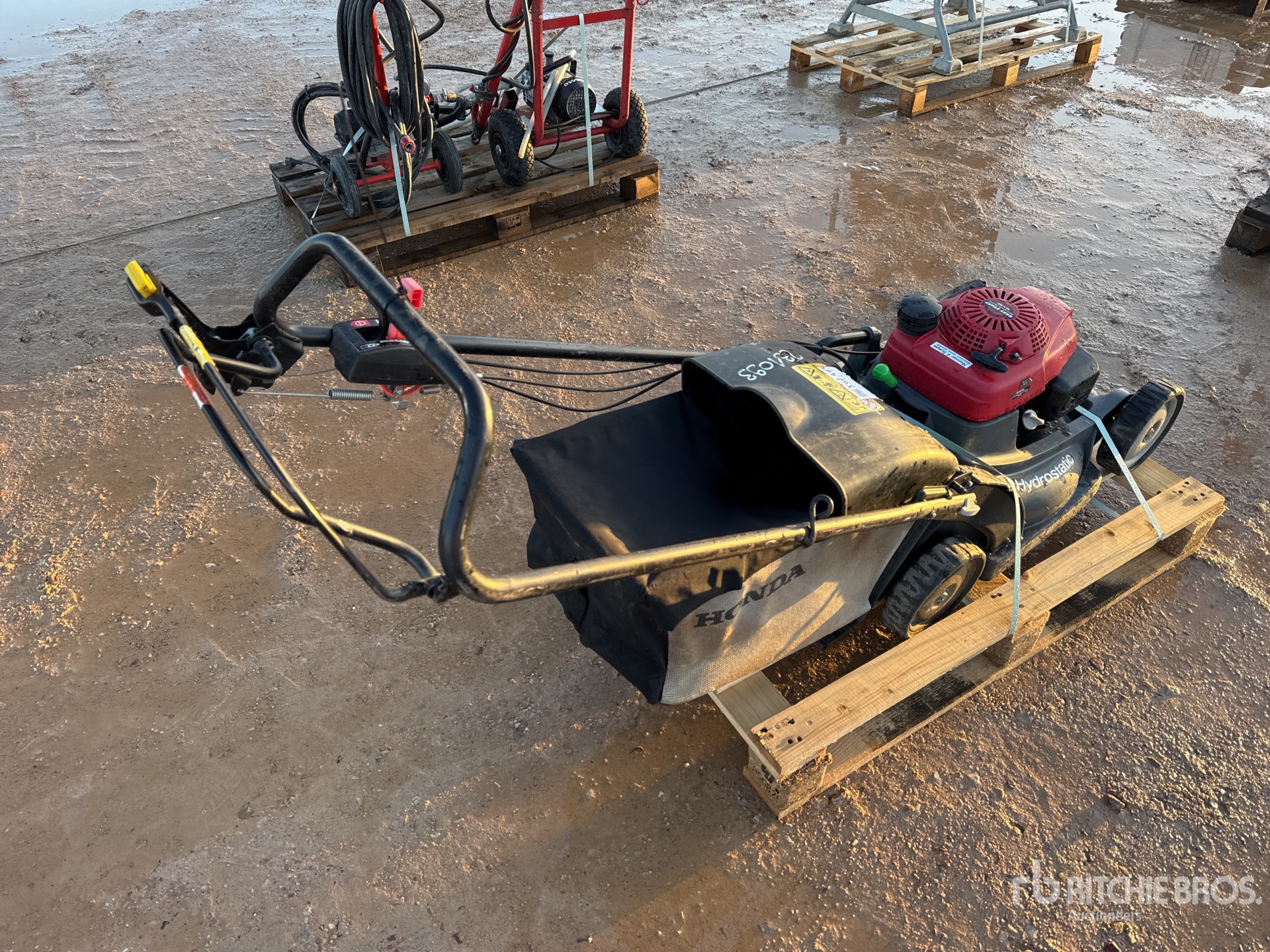 General Appearance with 