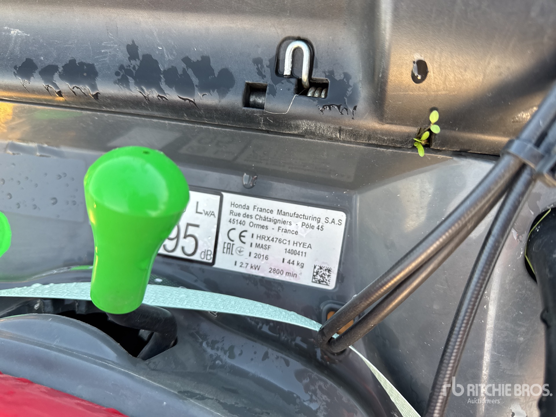 General Appearance with 