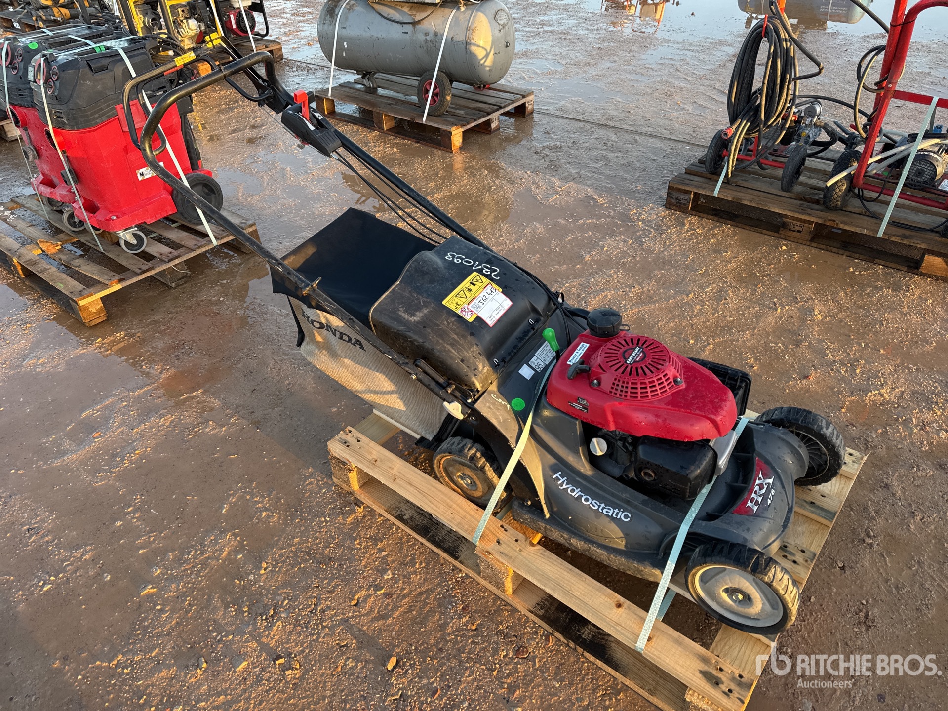 General Appearance with 