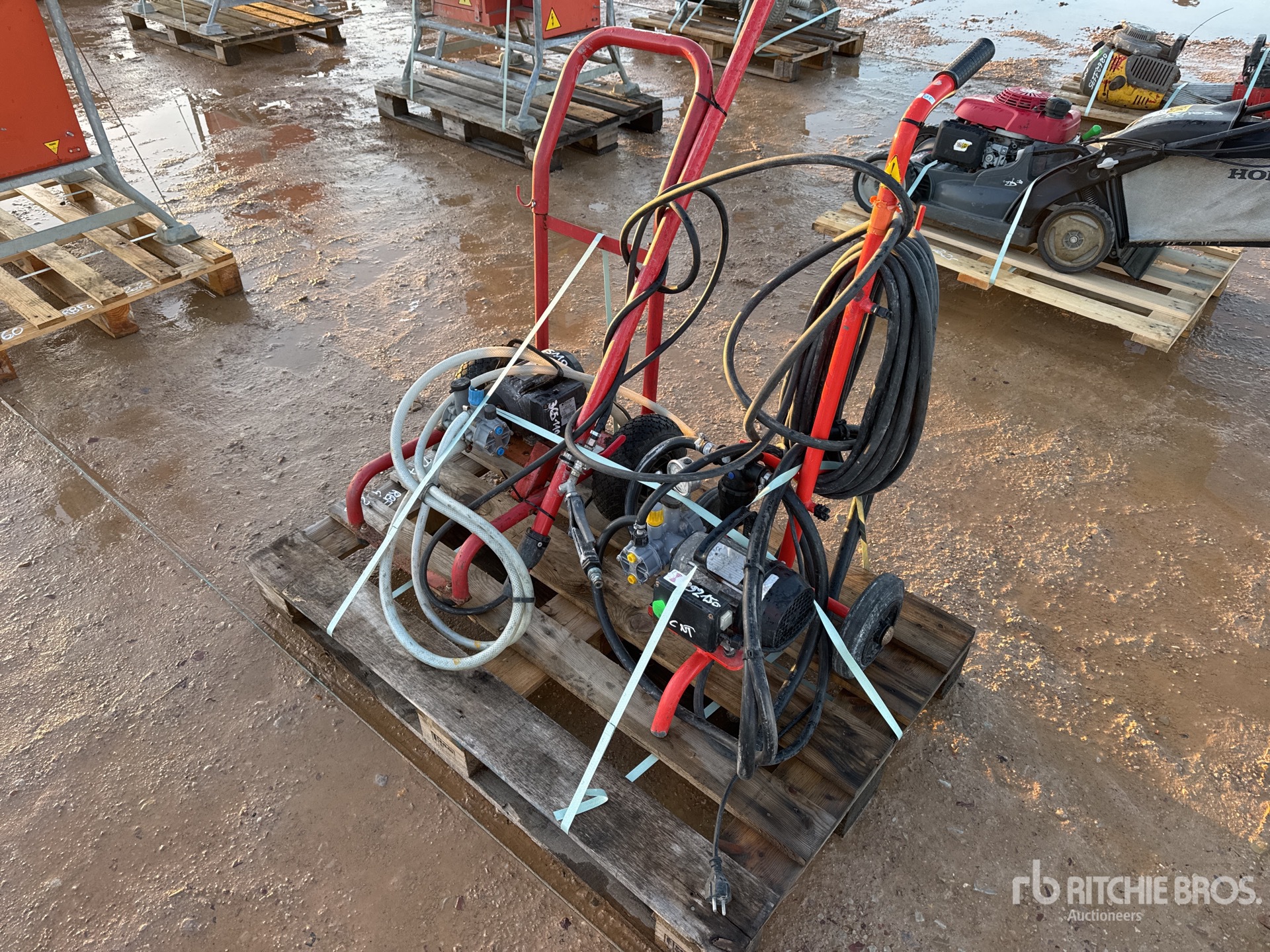 General Appearance with 