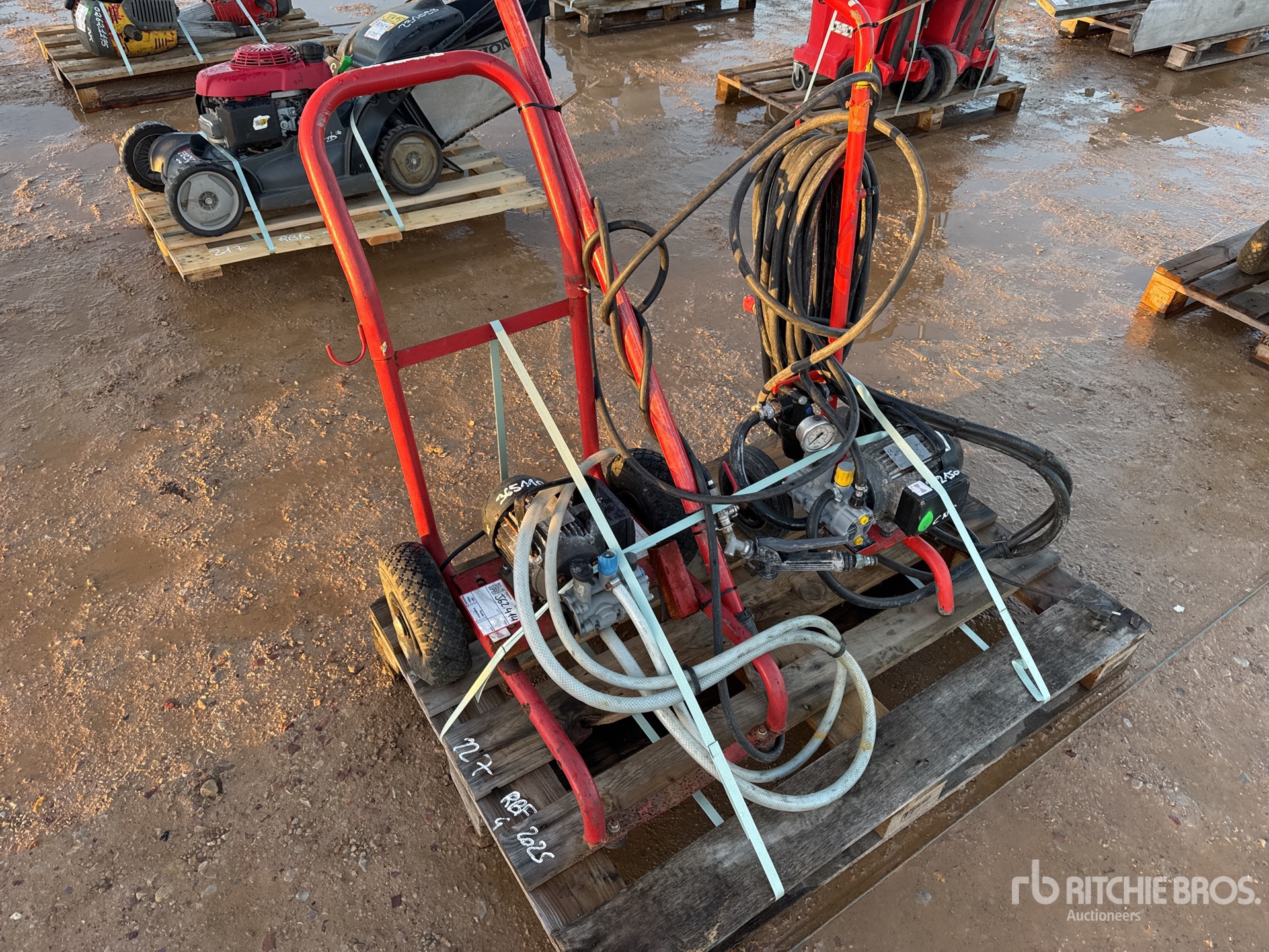 General Appearance with 