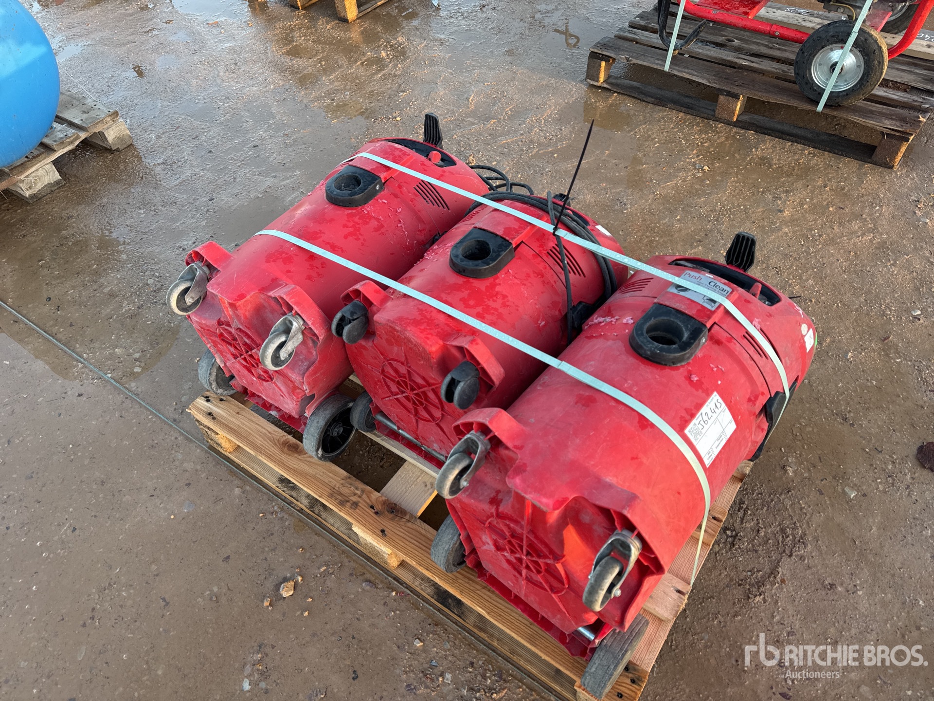 General Appearance with 