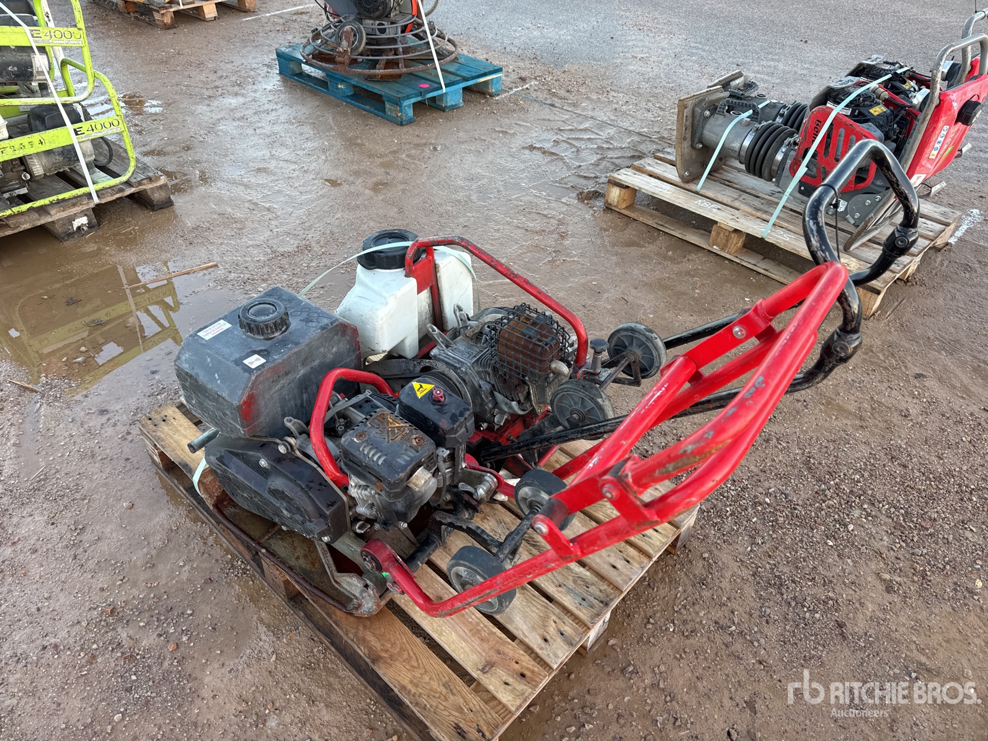 General Appearance with