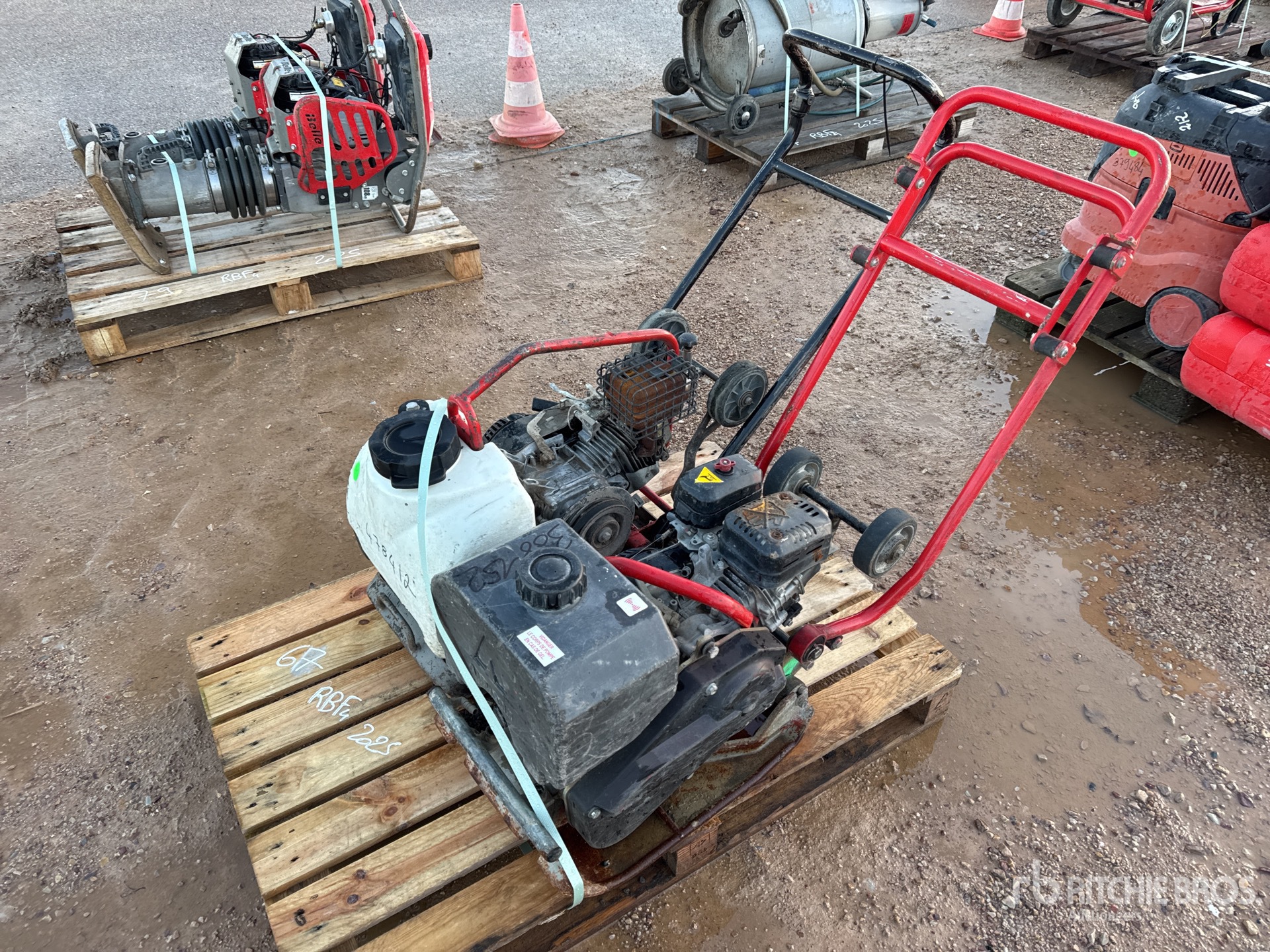 General Appearance with