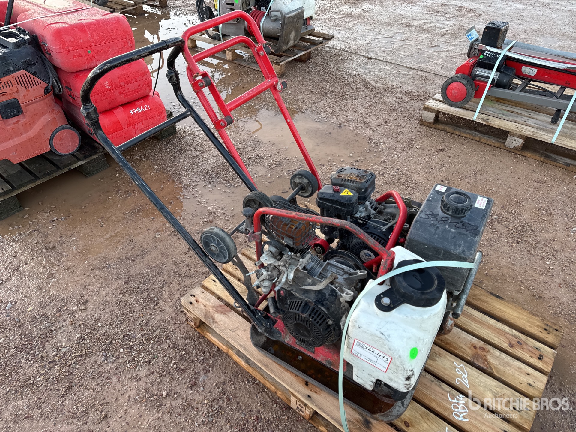 General Appearance with