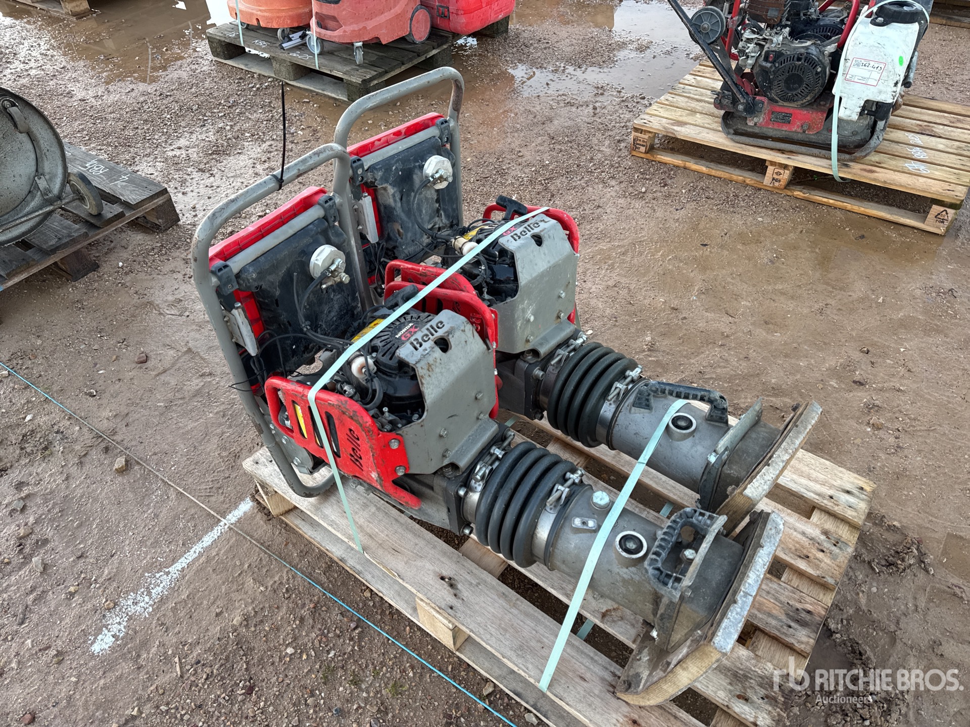 General Appearance with 